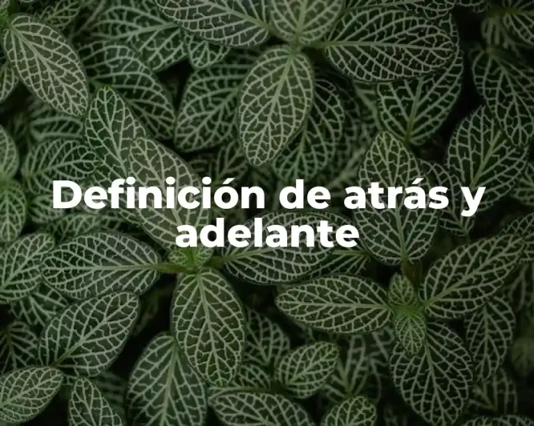 Definición de atrás y adelante