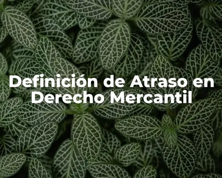 Definición de Atraso en Derecho Mercantil