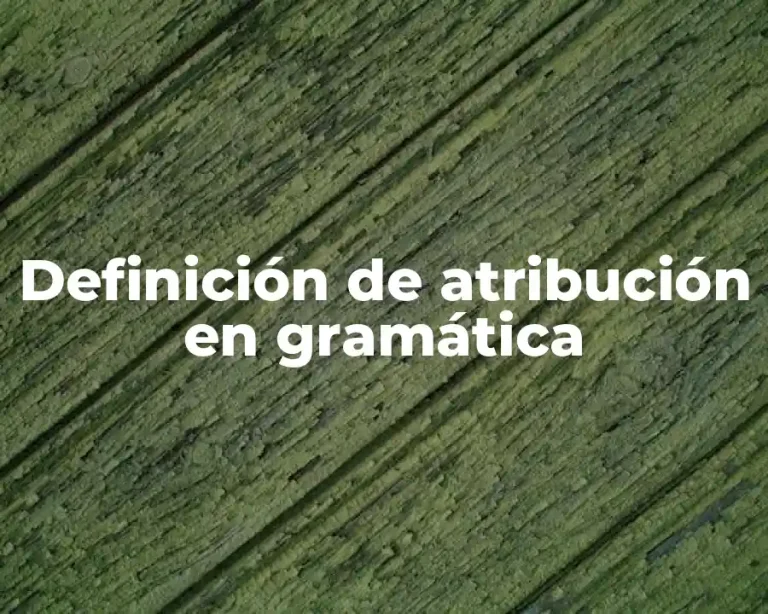 Definición de atribución en gramática