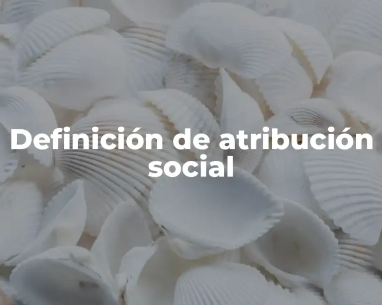 Definición de atribución social