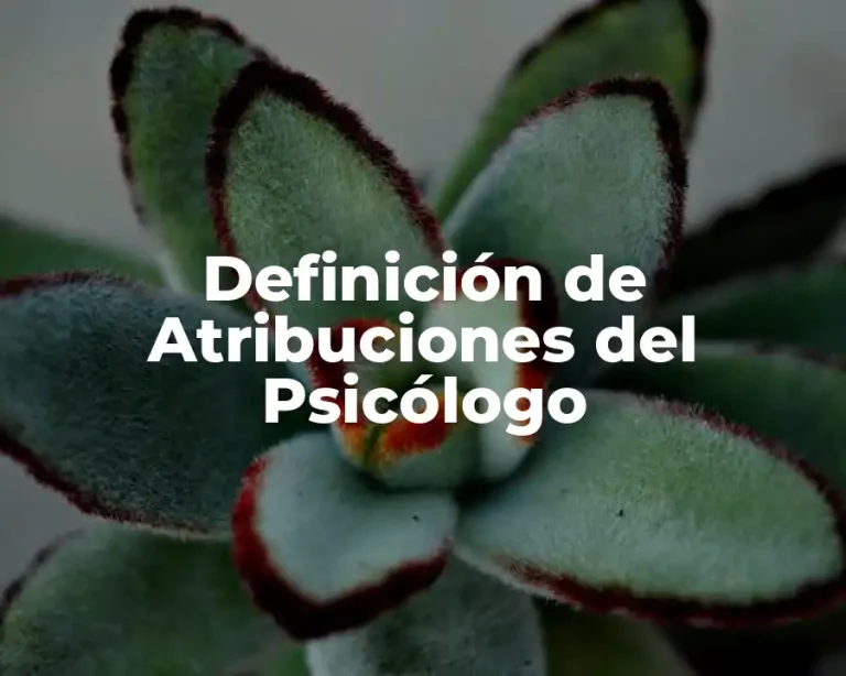 Definición de Atribuciones del Psicólogo