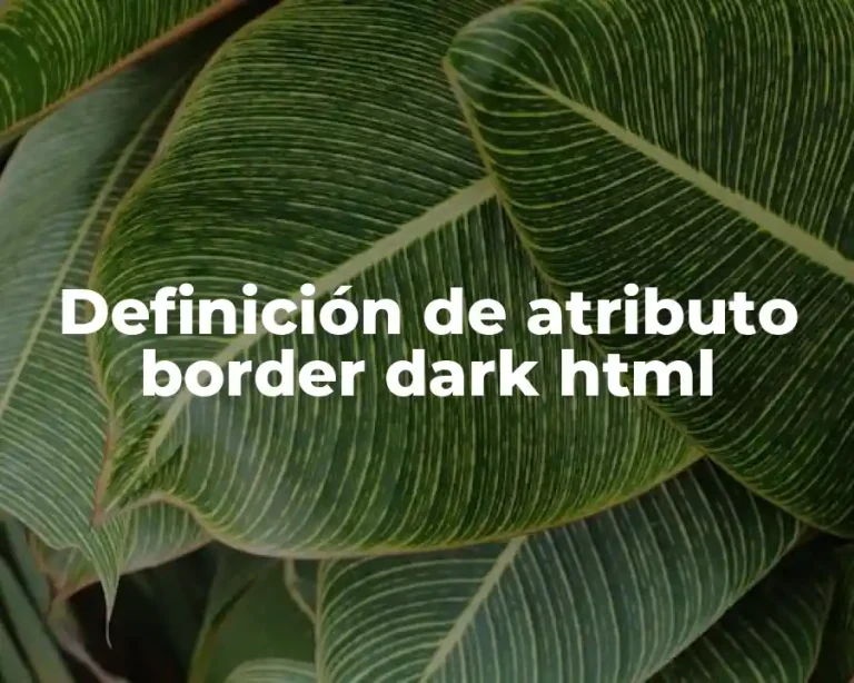 Definición de atributo border dark html