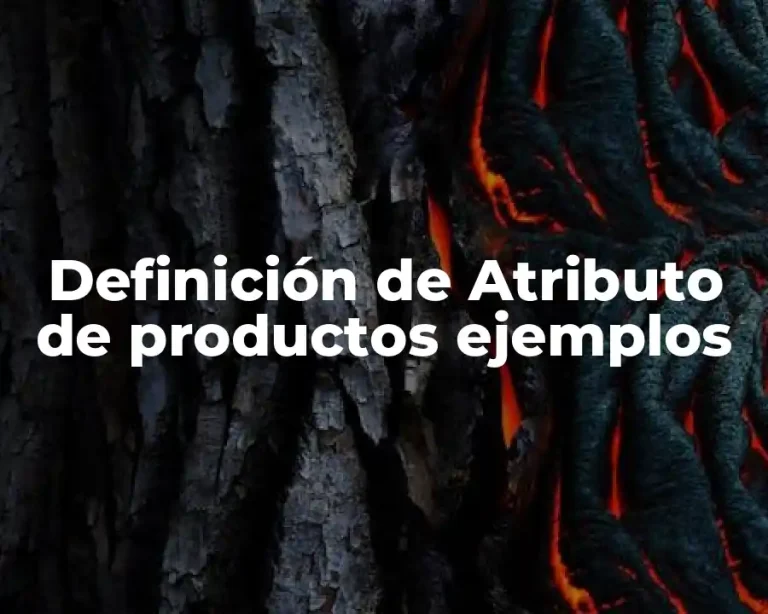 Definición de Atributo de productos ejemplos