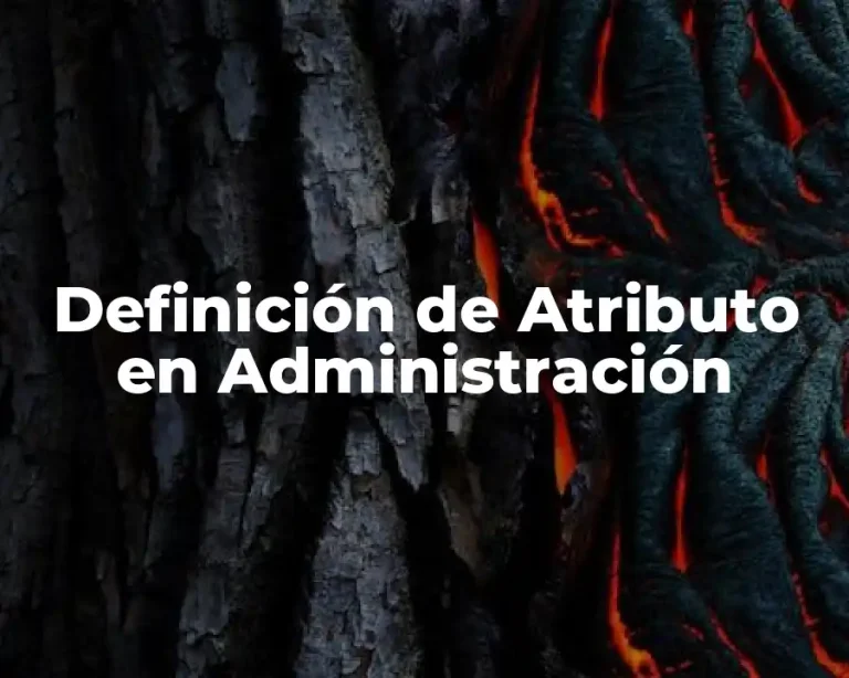 Definición de Atributo en Administración