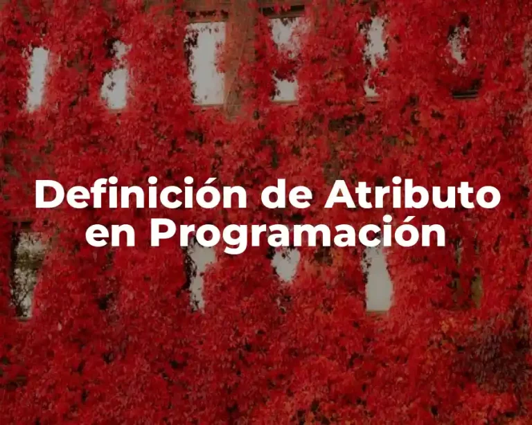Definición de Atributo en Programación