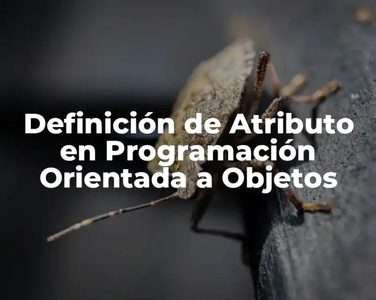 Definición de Atributo en Programación Orientada a Objetos