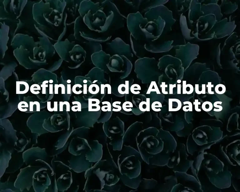 Definición de Atributo en una Base de Datos