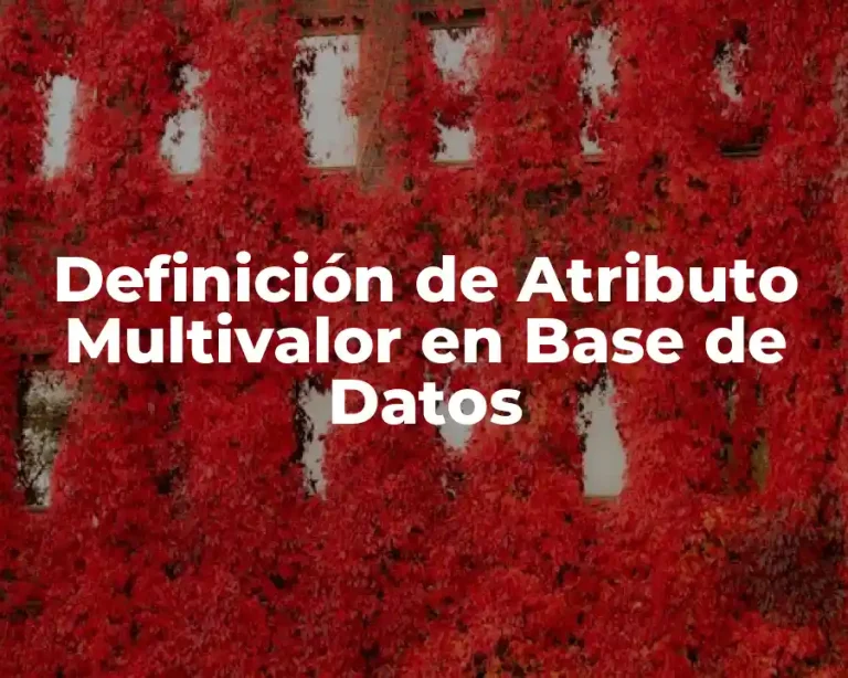 Definición de Atributo Multivalor en Base de Datos