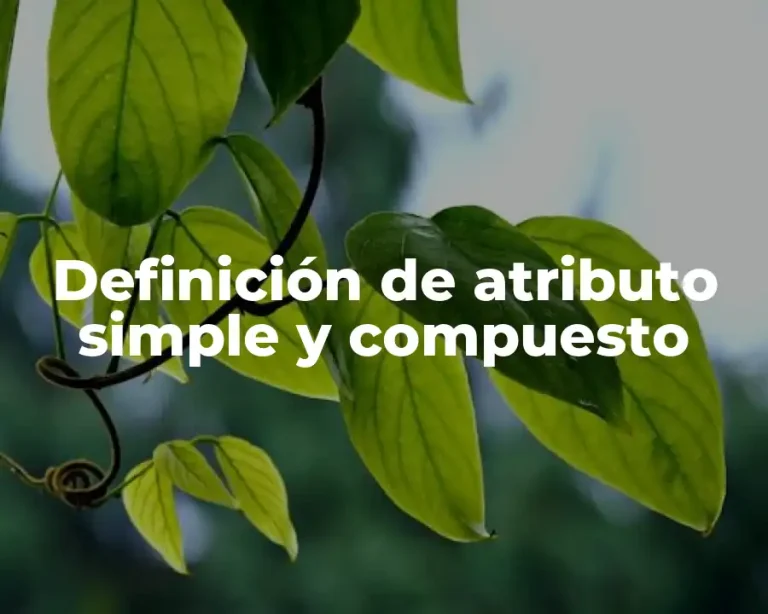 Definición de atributo simple y compuesto