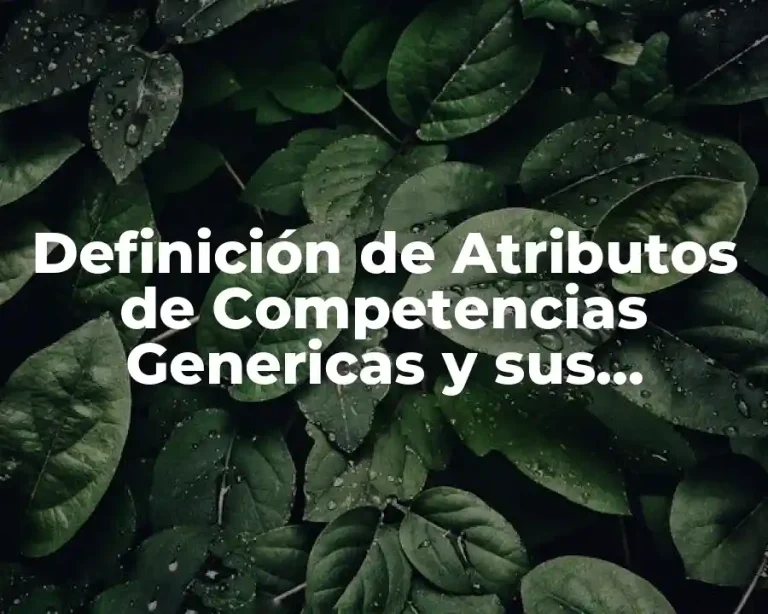 Definición de Atributos de Competencias Genericas y sus Características