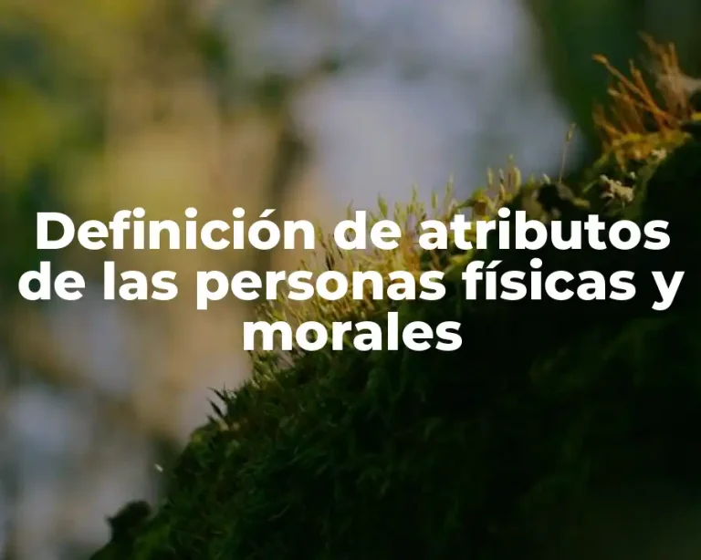Definición de atributos de las personas físicas y morales