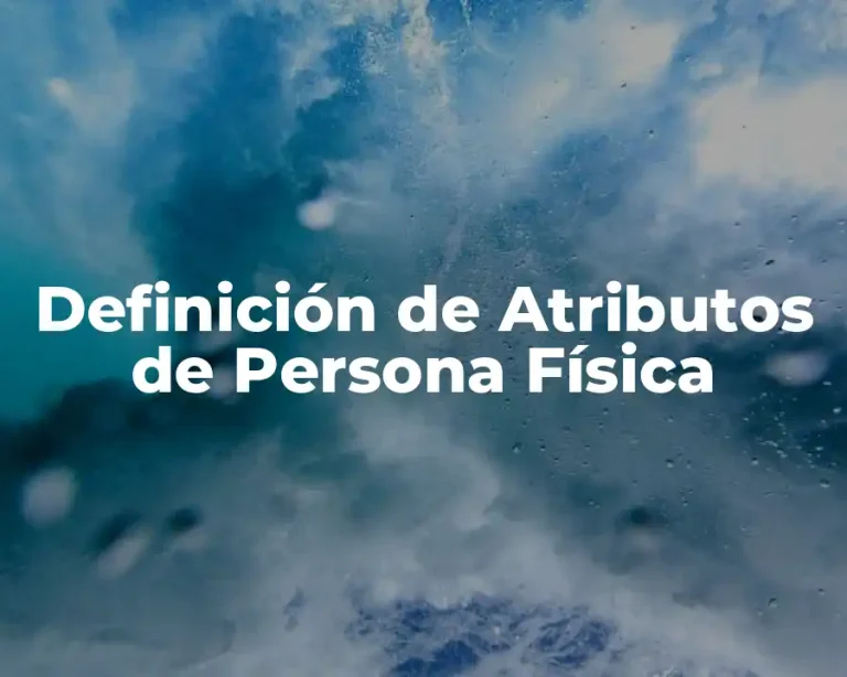 Definición de Atributos de Persona Física