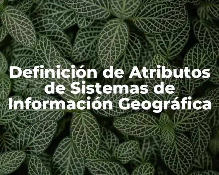 Definición de Atributos de Sistemas de Información Geográfica