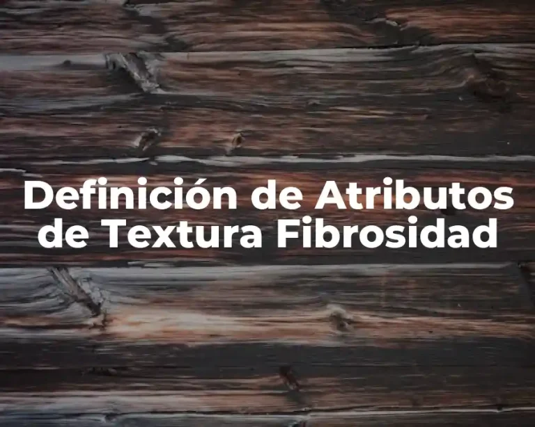 Definición de Atributos de Textura Fibrosidad
