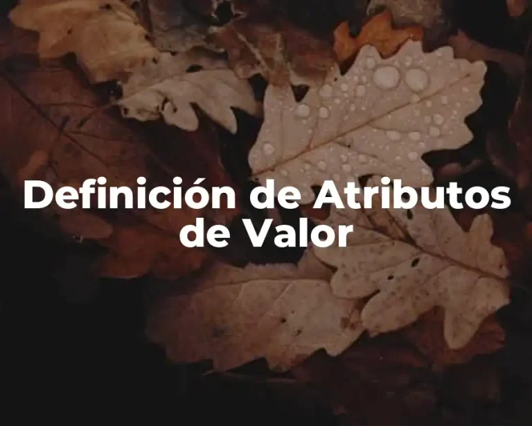 Definición de Atributos de Valor
