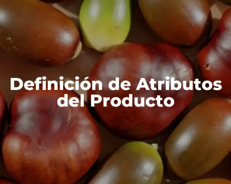 Definición de Atributos del Producto