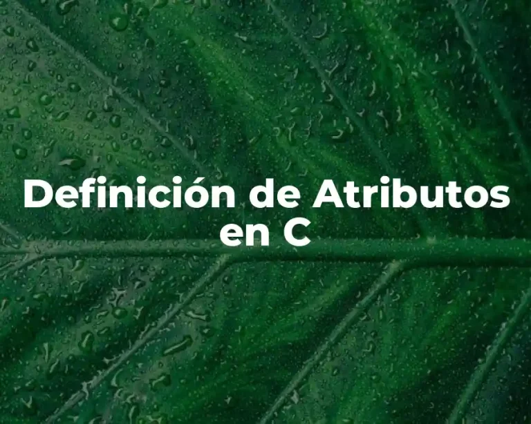 Definición de Atributos en C