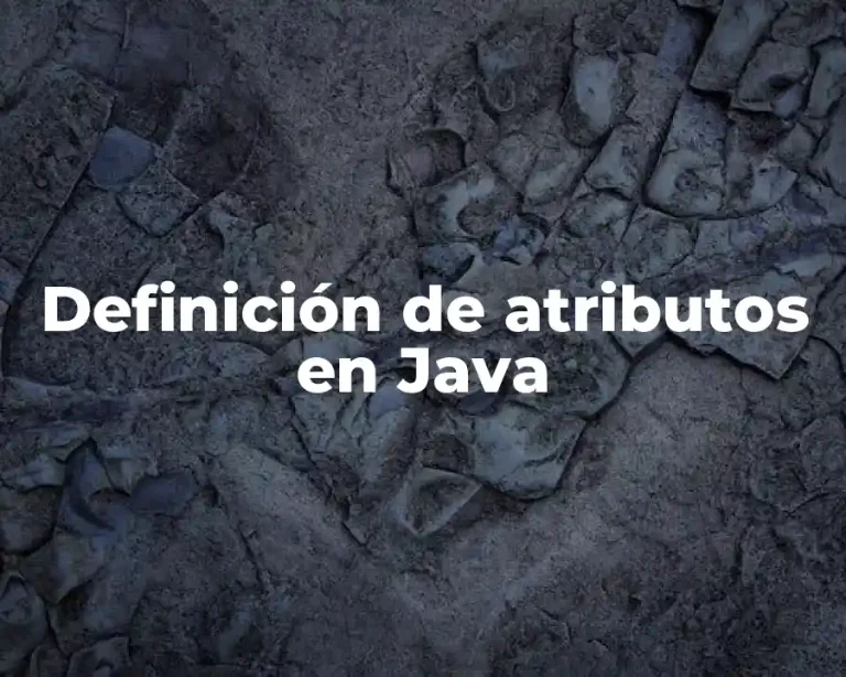 Definición de atributos en Java