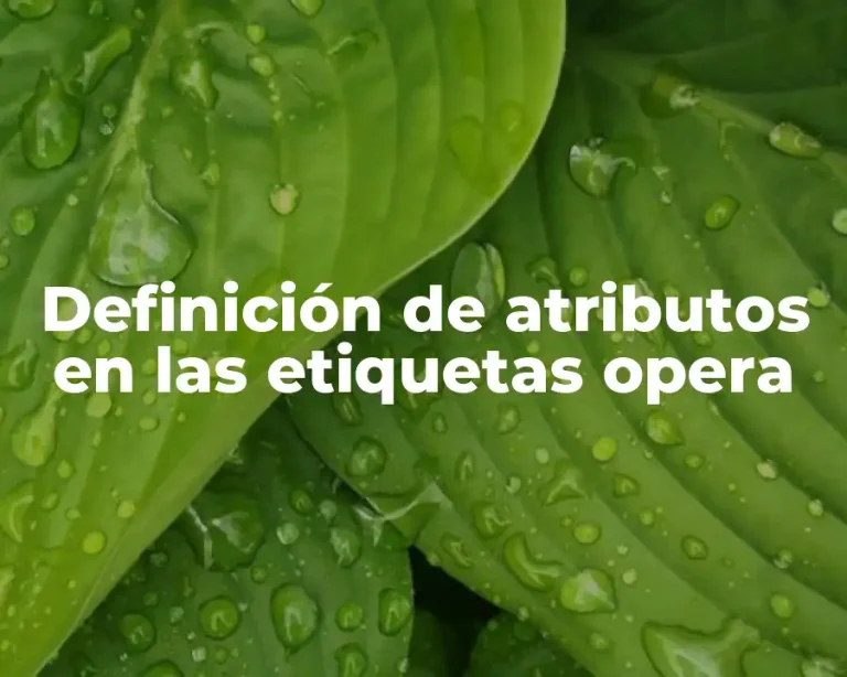 Definición de atributos en las etiquetas opera