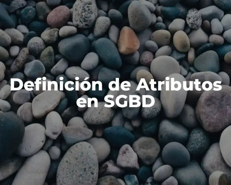 Definición de Atributos en SGBD
