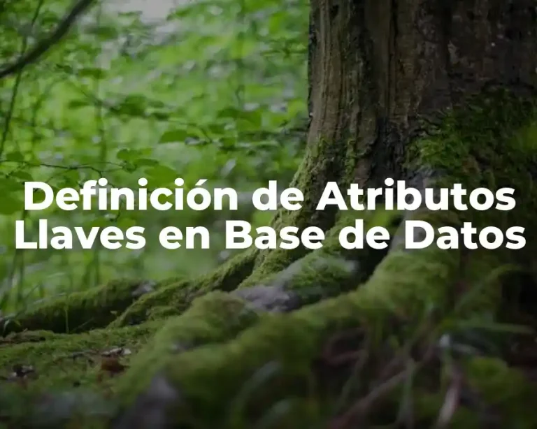 Definición de Atributos Llaves en Base de Datos
