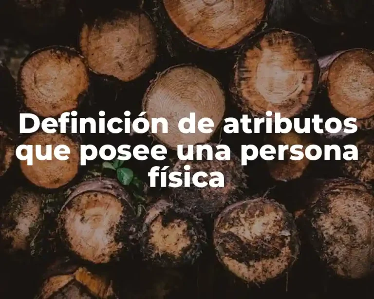 Definición de atributos que posee una persona física