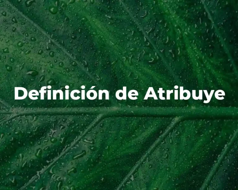 Definición de Atribuye