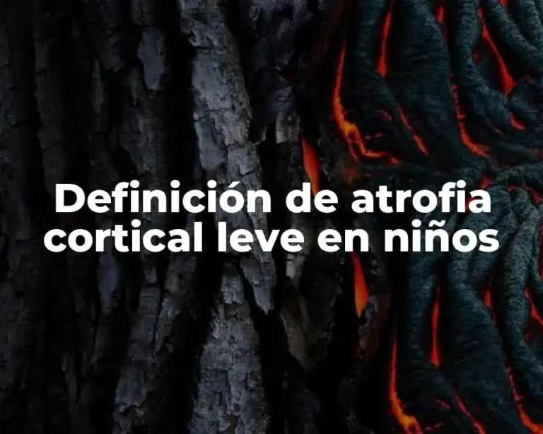 Definición de atrofia cortical leve en niños
