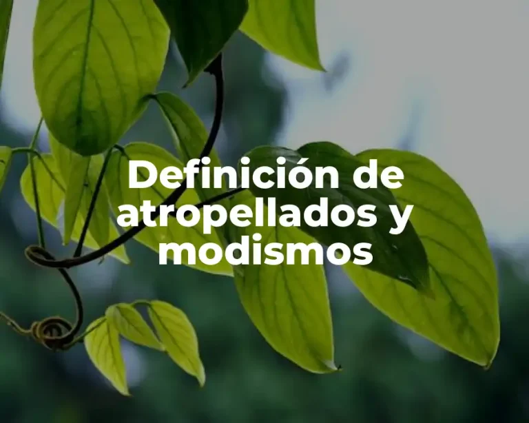Definición de atropellados y modismos