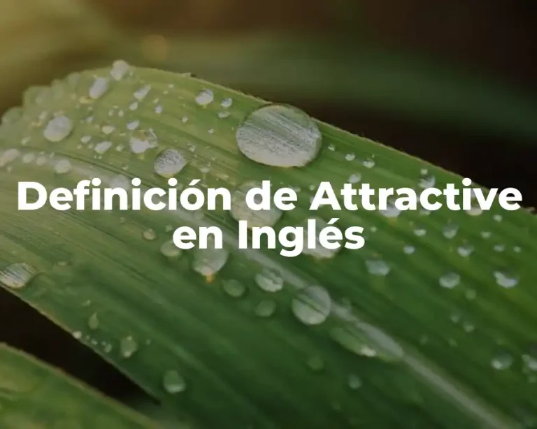 Definición de Attractive en Inglés