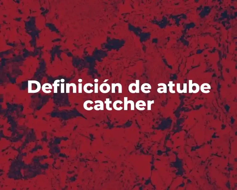 Definición de atube catcher