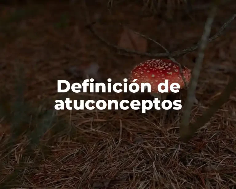 Definición de atuconceptos