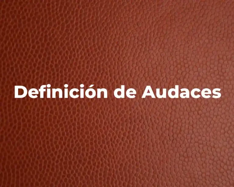 Definición de Audaces