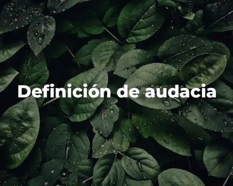 Definición de audacia