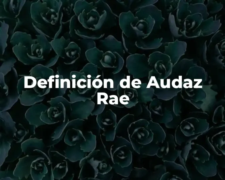 Definición de Audaz Rae