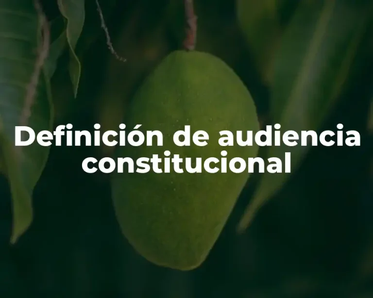 Definición de audiencia constitucional