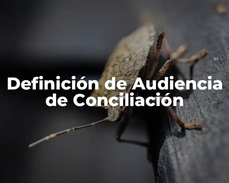 Definición de Audiencia de Conciliación