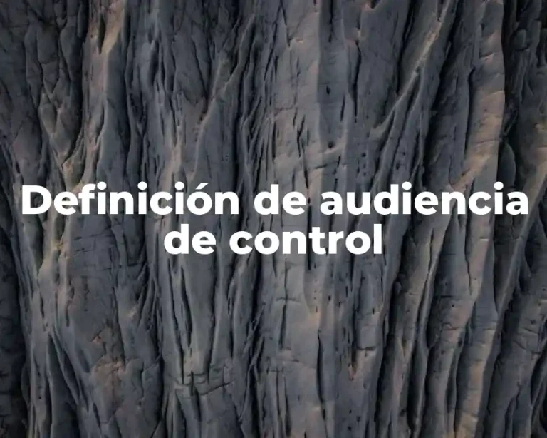 Definición de audiencia de control