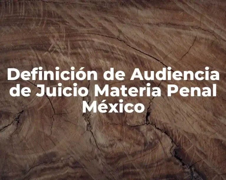Definición de Audiencia de Juicio Materia Penal México