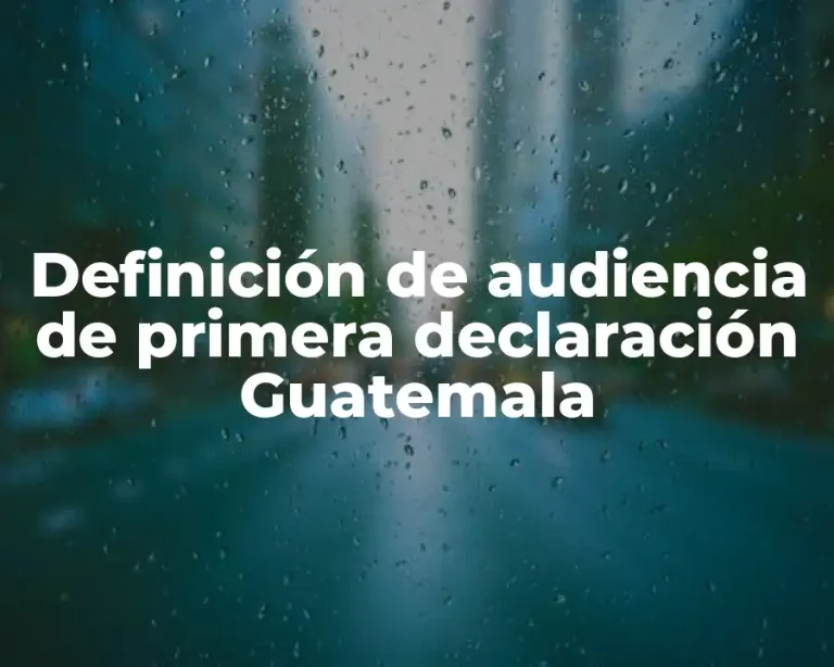 Definición de audiencia de primera declaración Guatemala