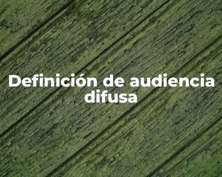 Definición de audiencia difusa