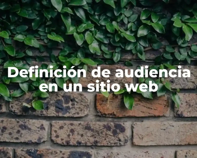 Definición de audiencia en un sitio web