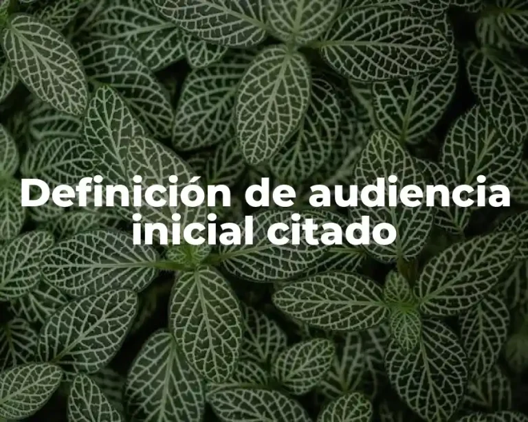Definición de audiencia inicial citado
