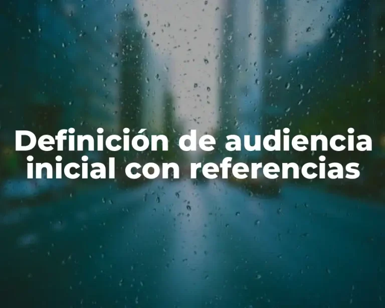 Definición de audiencia inicial con referencias