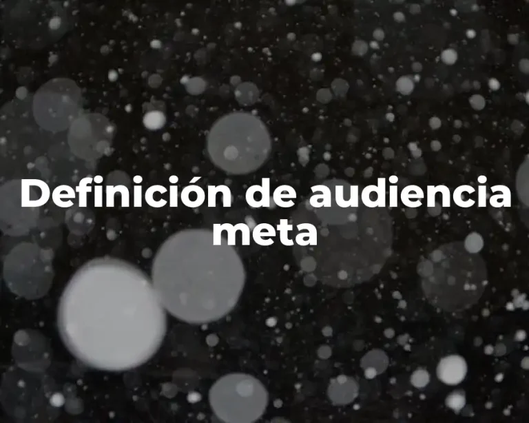 Definición de audiencia meta