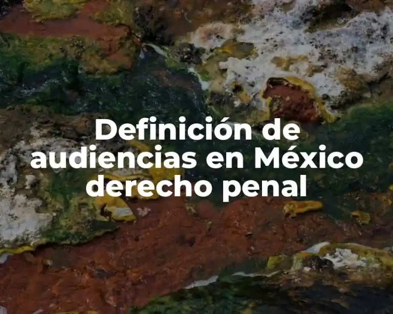 Definición de audiencias en México derecho penal