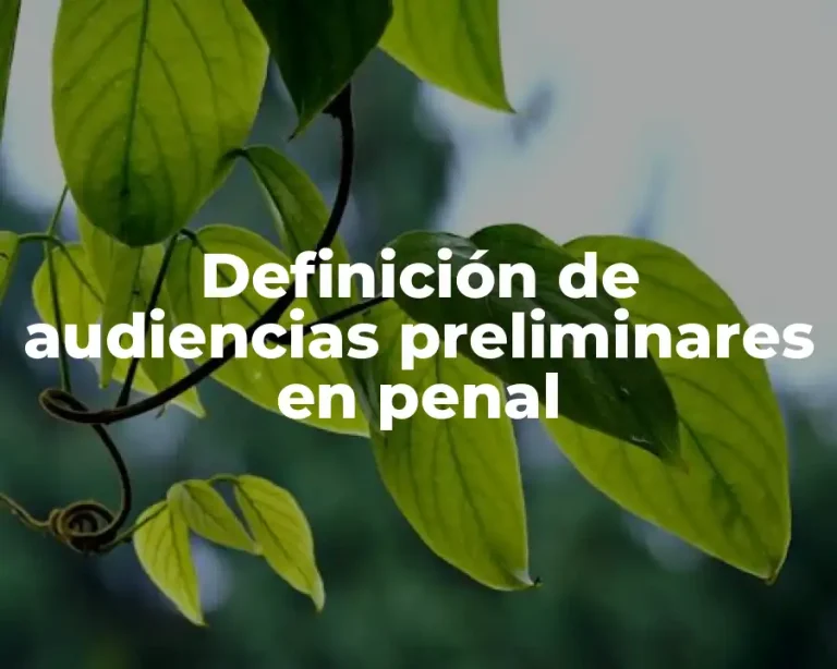 Definición de audiencias preliminares en penal