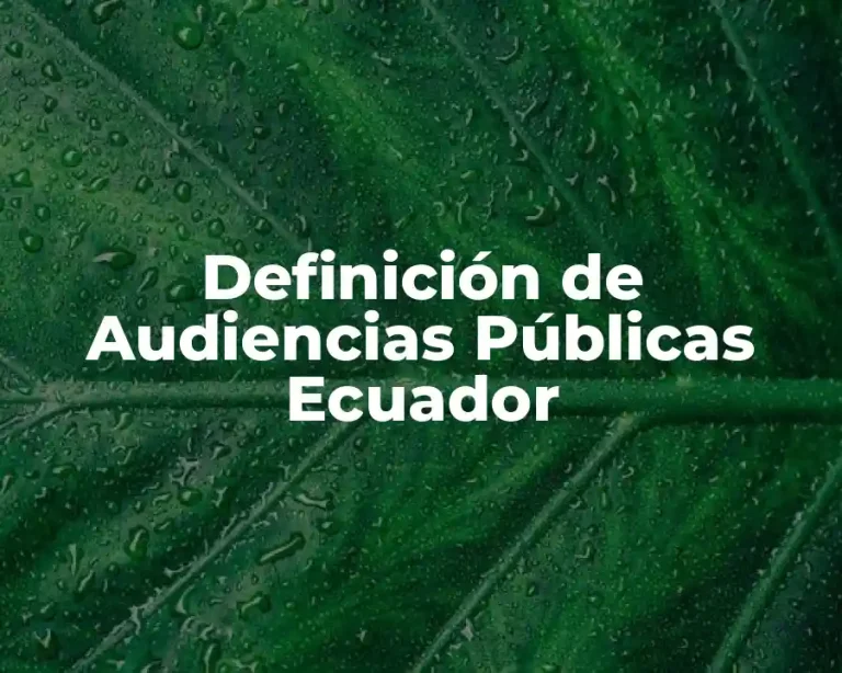 Definición de Audiencias Públicas Ecuador