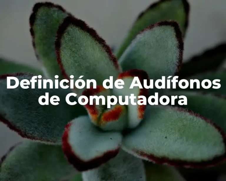 Definición de Audífonos de Computadora