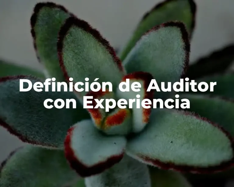 Definición de Auditor con Experiencia